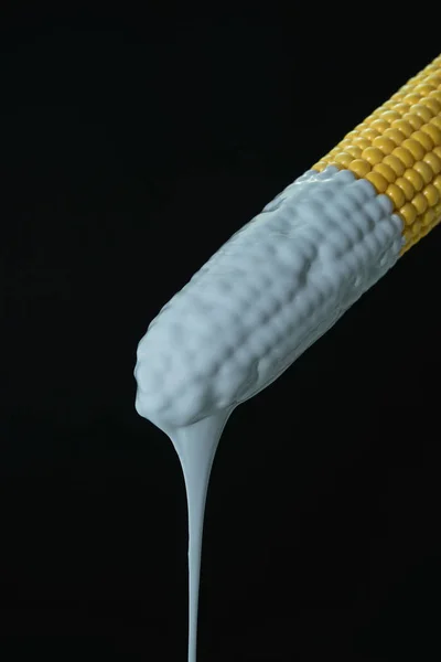 Kapající Bílá Barva Kukuřičného Bludiště Černém Pozadí Kreativní Plakát — Stock fotografie