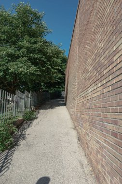 Güzel geçit yukarı, tuğla duvar ve ağaç.