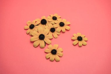 Şeftali arka plan üzerinde Black-Eyed Susans.