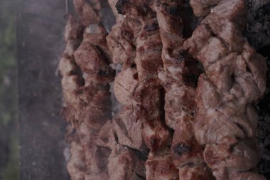 Close up Natur içinde mangal üzerinde Pişirme shashlik