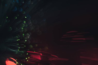 Kırmızı bokeh arka plan üzerinde güzel çok renkli soyut optik fiber çizgi.