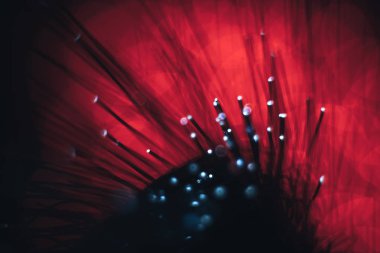 Kırmızı bokeh arka plan üzerinde güzel soyut optik fiber çizgi.