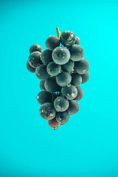 Vinho Bonito Uvas Violetas Fundo Parede Azul — Fotografia de Stock