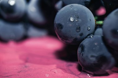 Yakın güzel mavi ıslak Isabella üzüm demet arka plan kadar. Makro görünümü.