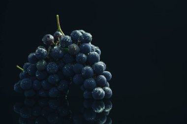 Siyah cam masa ve koyu arka plan üzerinde iki taze asma mavi üzüm