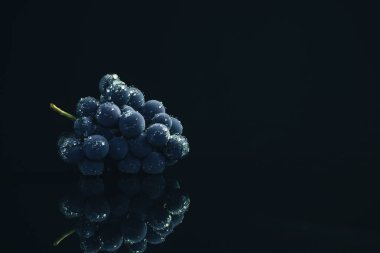 Siyah cam masa ve koyu arka plan üzerinde bir taze asma mavi üzüm