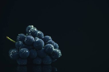 Siyah cam masa ve koyu arka plan üzerinde bir taze asma mavi üzüm
