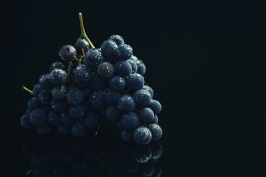 Siyah cam masa ve koyu arka plan üzerinde iki taze asma mavi üzüm