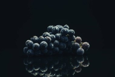Siyah cam masa ve koyu arka plan üzerinde Güzel Taze asma mavi üzüm