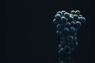 Siyah cam masa ve koyu arka plan üzerinde Güzel Taze asma mavi üzüm