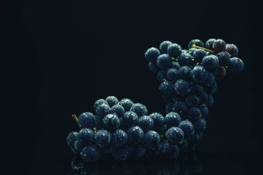 Siyah cam masa ve koyu arka plan üzerinde taze asma mavi üzüm