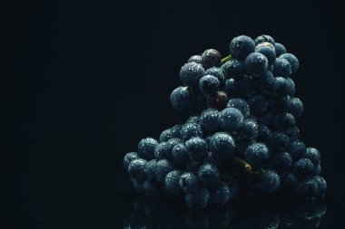 Siyah cam masa ve koyu arka plan üzerinde taze asma mavi üzüm
