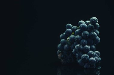 Siyah cam masa ve koyu arka plan üzerinde taze asma mavi üzüm