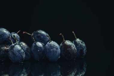 Siyah cam masa ve koyu arka plan üzerinde güzel taze mavi pulms.