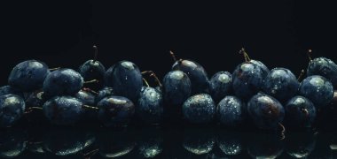 Siyah cam masa ve koyu arka plan üzerinde güzel taze mavi pulms.