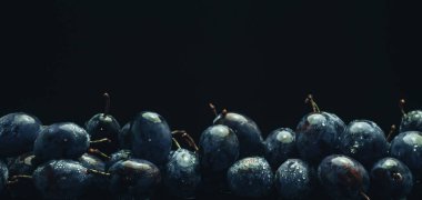 Siyah cam masa ve koyu arka plan üzerinde güzel taze mavi pulms.