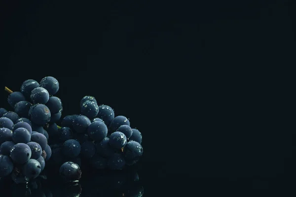 Two Fresh Vine Blue Grapes Black Glass Table Dark Background — Stock Photo, Image