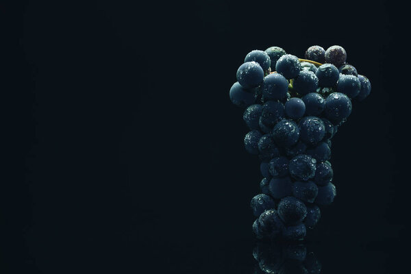 Голубой виноград на черном стеклянном столе и темном фоне
