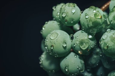 Güzel yeşil üzüm bağlarını siyah bir arka planda kapatın. Makro görünüm. 