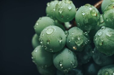 Güzel yeşil üzüm bağlarını siyah bir arka planda kapatın. Makro görünüm. 