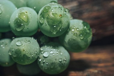 Yakın güzel taze yeşil asma üzüm arka plan kadar. Makro görünümü. 