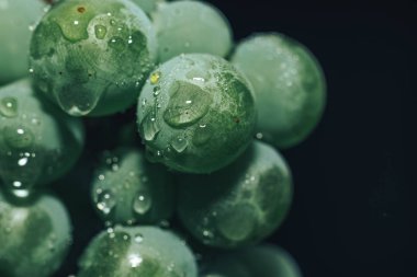 Güzel yeşil üzüm bağlarını siyah bir arka planda kapatın. Makro görünüm. 