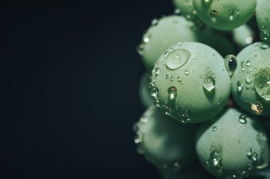 Güzel yeşil üzüm bağlarını siyah bir arka planda kapatın. Makro görünüm. 