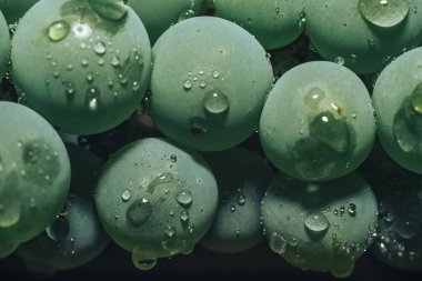 Yakın güzel taze yeşil asma üzüm demet arka plan kadar. Makro görünümü. 