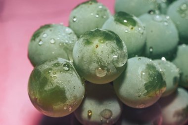 Yakın güzel taze yeşil asma üzüm demet arka plan ve pembe ışık kadar. Makro görünümü. 