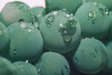 Yakın güzel taze yeşil asma üzüm demet arka plan ve pembe ışık kadar. Makro görünümü. 