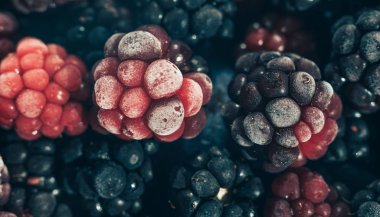 Taze dondurulmuş böğürtlen arka planı kapatın. Makro görünümü.