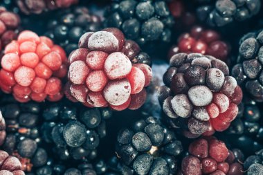 Taze dondurulmuş böğürtlen arka planı kapatın. Makro görünümü.