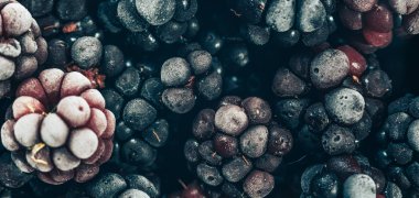 Taze dondurulmuş böğürtlen arka planı kapatın. Makro görünümü.