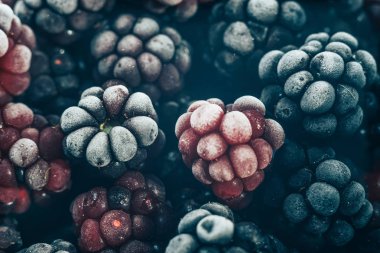 Taze dondurulmuş böğürtlen arka planı kapatın. Makro görünümü.