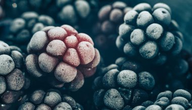 Taze dondurulmuş böğürtlen arka planı kapatın. Makro görünümü.