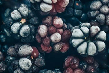 Taze dondurulmuş böğürtlen arka planı kapatın. Makro görünümü.