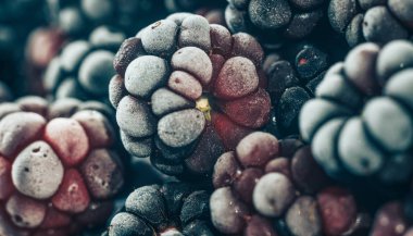 Taze dondurulmuş böğürtlen arka planı kapatın. Makro görünümü.