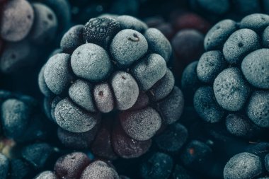 Taze dondurulmuş böğürtlen arka planı kapatın. Makro görünümü.