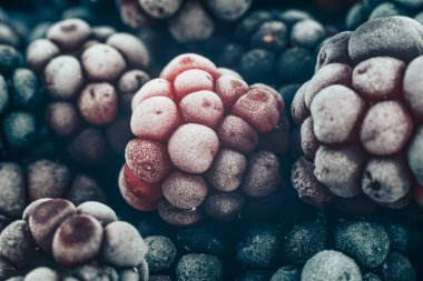 Taze dondurulmuş böğürtlen arka planı kapatın. Makro görünümü.