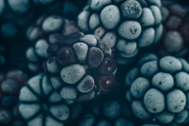 Taze dondurulmuş böğürtlen arka planı kapatın. Makro görünümü.