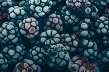 Taze dondurulmuş böğürtlen arka planı kapatın. Makro görünümü.