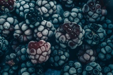 Taze dondurulmuş böğürtlen arka planı kapatın. Makro görünümü.