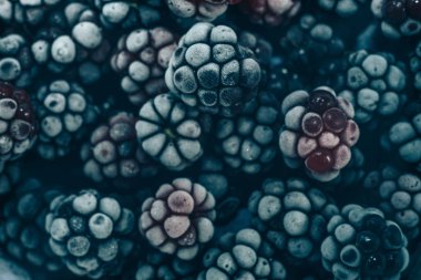 Taze dondurulmuş böğürtlen arka planı kapatın. Makro görünümü.