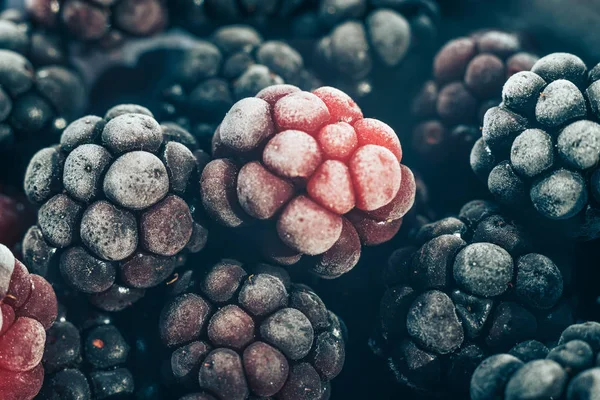 新鮮な冷凍ブラックベリーの背景をクローズアップ マクロ ビュー — ストック写真