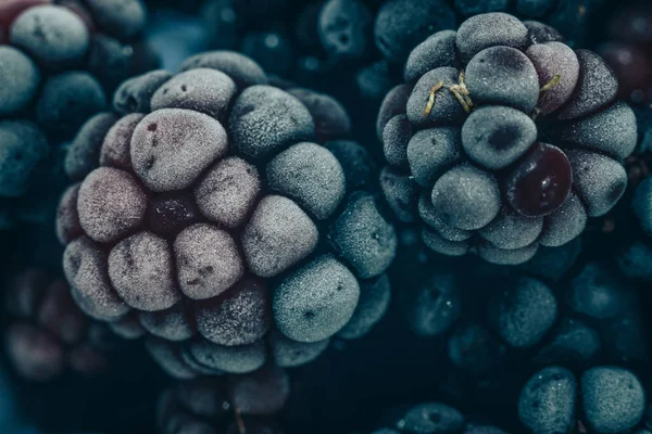 Taze dondurulmuş böğürtlen arka planı kapatın. Makro görünümü.