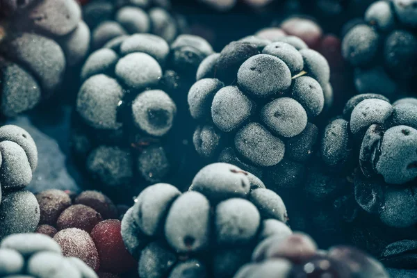 Taze dondurulmuş böğürtlen arka planı kapatın. Makro görünümü.