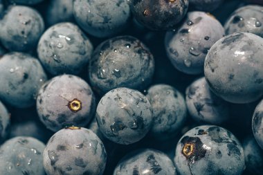 Yakın taze mavi üzüm taneleri arka plan. Makro görünümü.