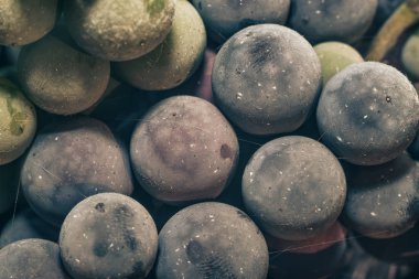 Yakın taze dondurulmuş yeşil ve mavi üzüm taneleri arka plan kadar. Makro görünümü.