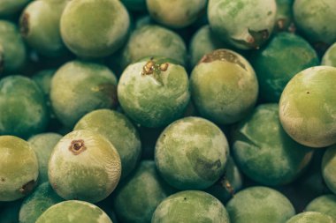 Yakın taze dondurulmuş yeşil üzüm taneleri arka plan kadar. Makro görünümü.