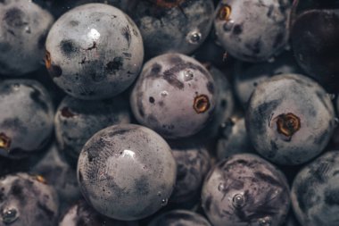 Yakın taze mavi üzüm taneleri arka plan. Makro görünümü.